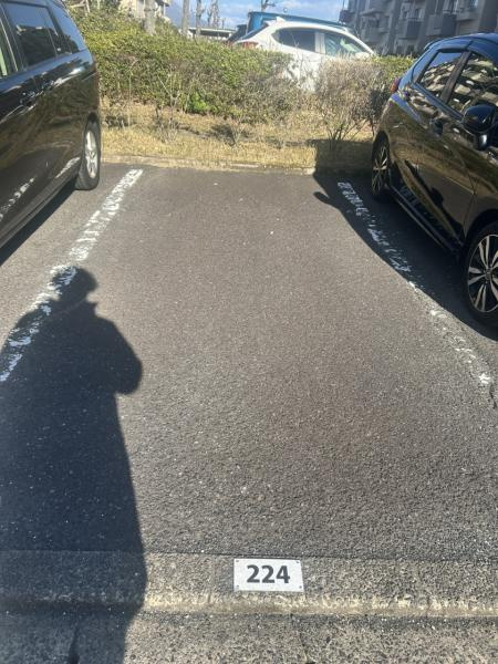 【その他】