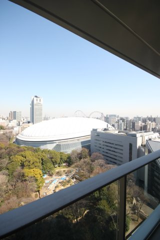 【展望】