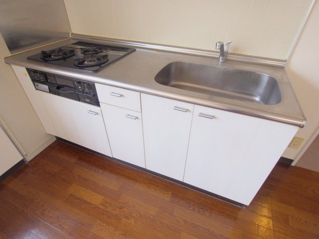 エクセル向井B棟のキッチン