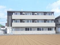 プロシードの画像