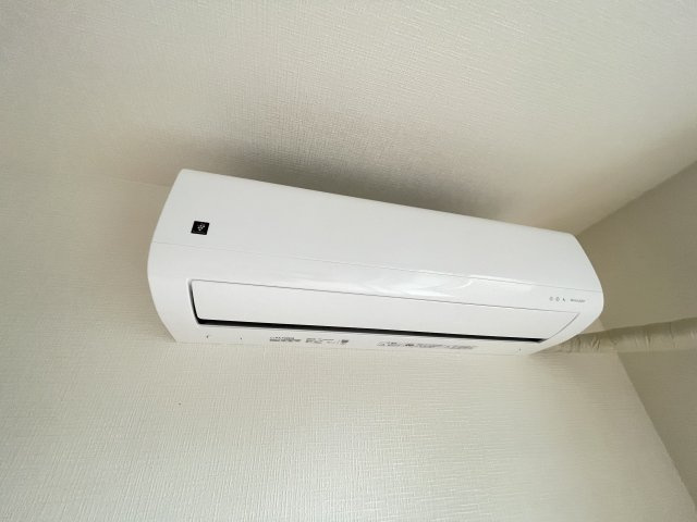 Wisteriaのその他