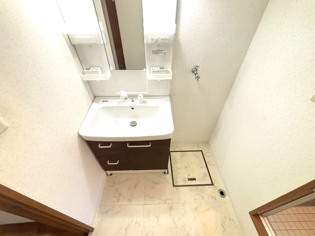 パークアベニュー弐番館の洗面所