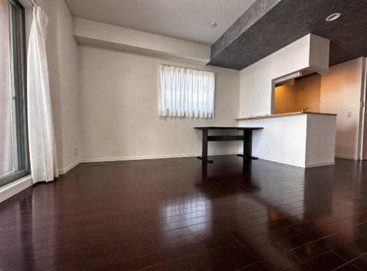 ライジングプレイス浅草参番館の居間・リビング