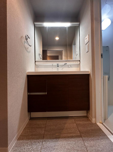 ライジングプレイス浅草参番館の洗面所