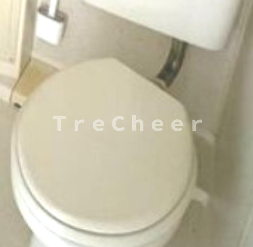 ワイズコーポ常盤台のトイレ