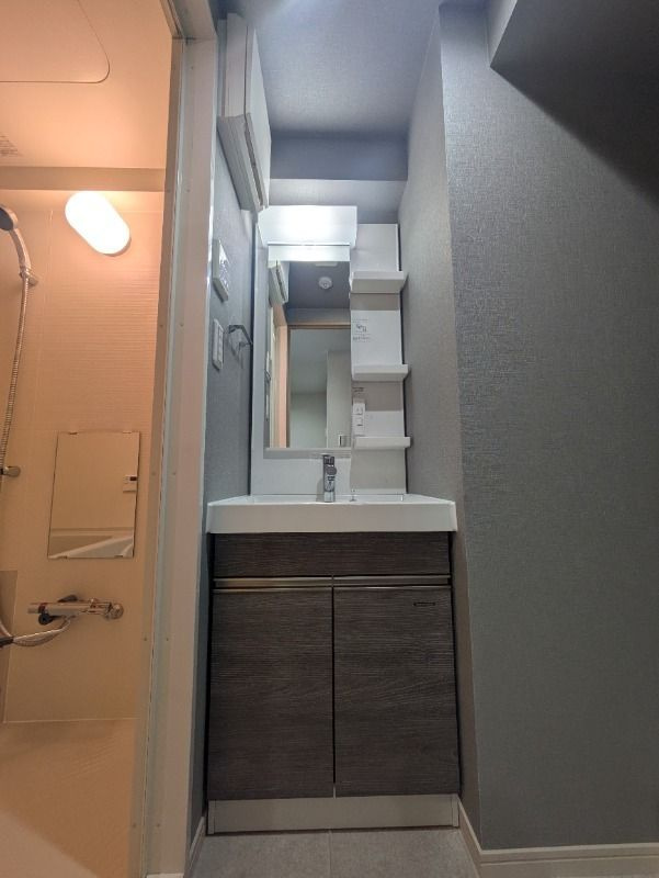 ジェノヴィア妙典Ⅱの独立洗面台