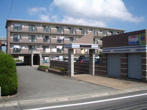 福岡市西区今宿青木の賃貸マンションの外観|外観写真