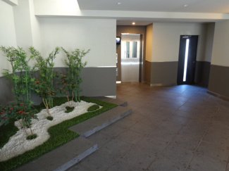 【エントランス】 | 日神デュオステージ浅草今戸 | 緑が迎える、静穏のロビーでお出迎え