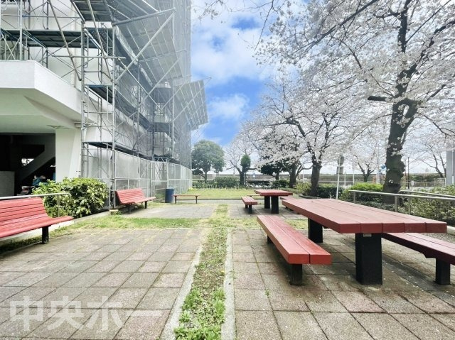 なぎさニュータウン4号棟の現況写真|中庭