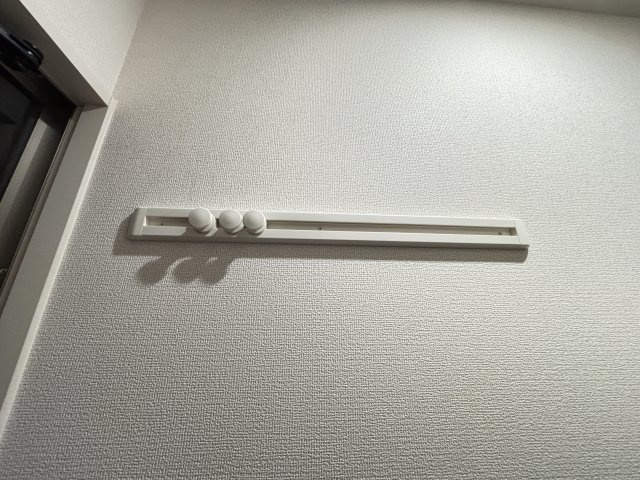 ラクードシャDのその他