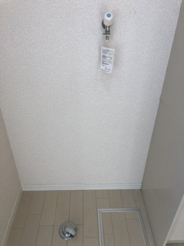 衣笠アーネストラザフォードのその他