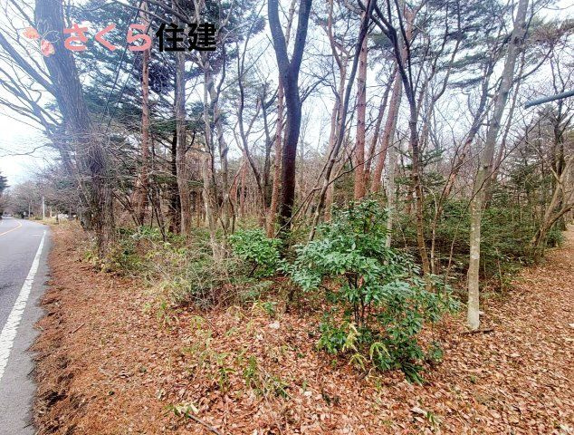 那須塩原市百村字石滝　土地の外観