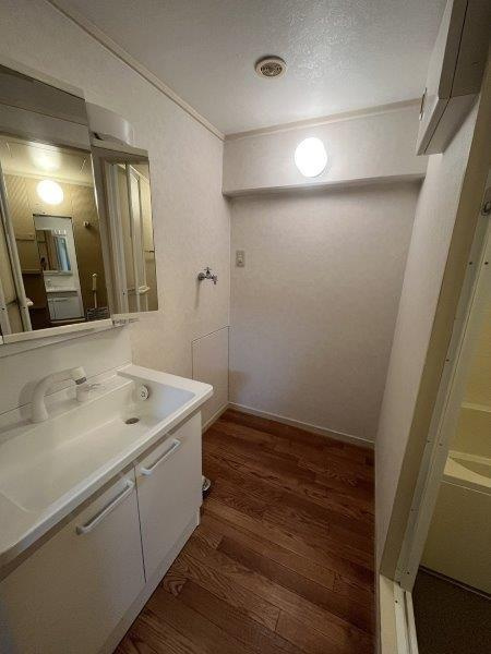 芦屋パインリッチの洗面所