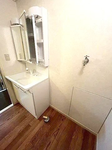 芦屋パインリッチの洗面所