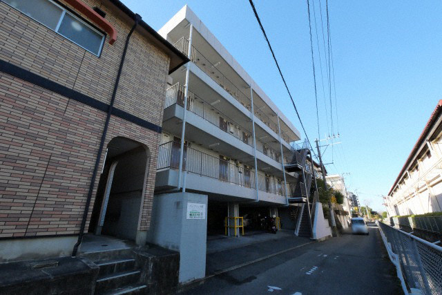 パシフィック紫