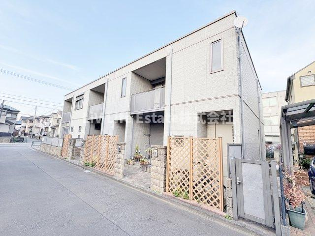 椿