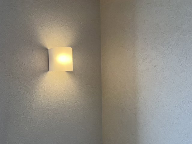 プラシードVの内装