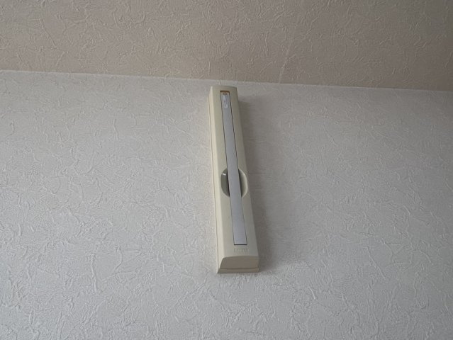 プラシードVのその他