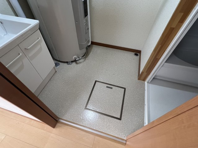 プラシードVの洗面所
