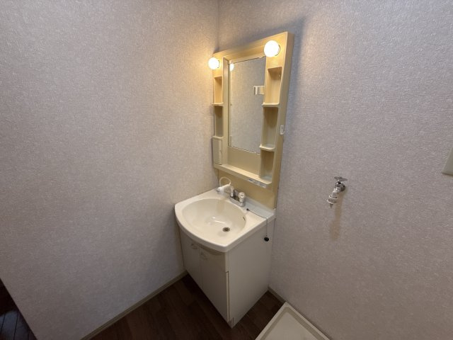 サンアクティーAの洗面所