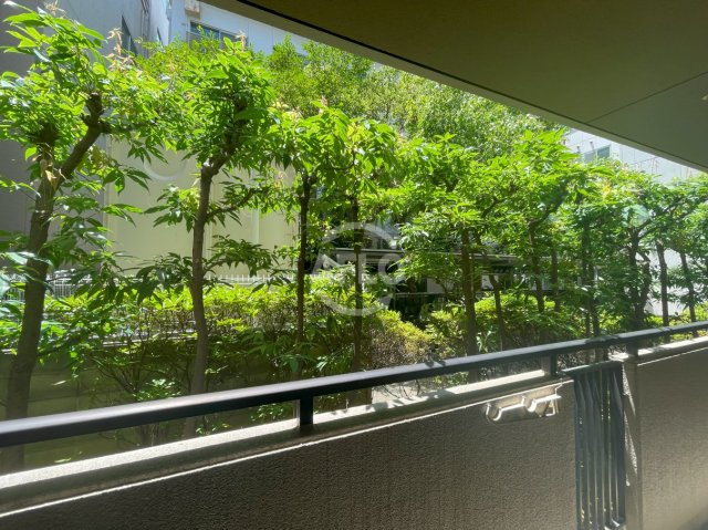 アンボジュール日愛の展望|アンボジュール日愛　眺望