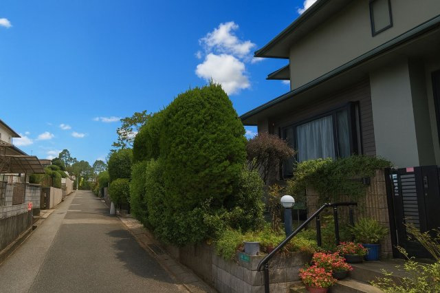 筑紫野市むさしヶ丘２丁目　売り土地の前面道路含む現地写真