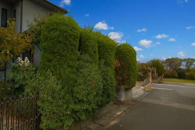 筑紫野市むさしヶ丘２丁目　売り土地の前面道路含む現地写真