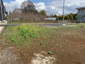 【外観】 | 立川市柏町2丁目　売地　【全2区画】