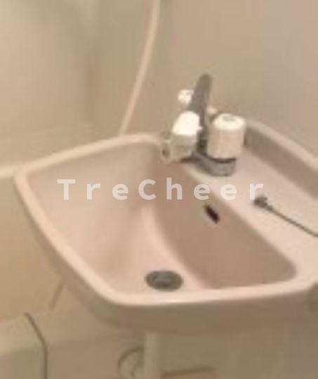 アンプルールフェール川口Ⅱの洗面所