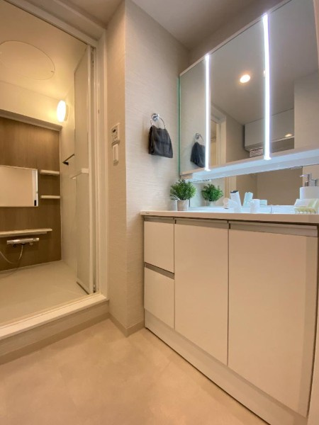 オリーブハイツ西宮の独立洗面台