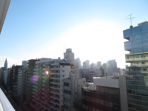 ラクアスレジデンス東新宿の展望