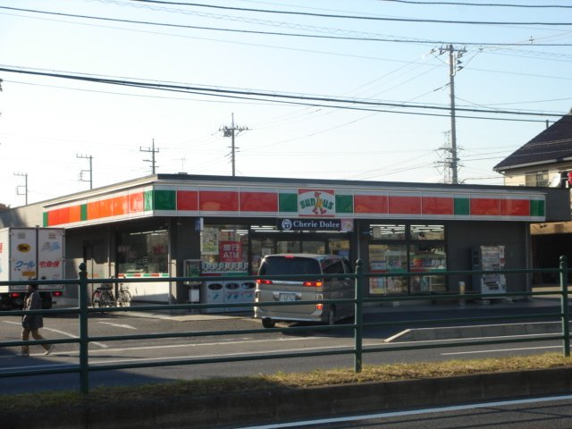ツリービューオレンジの周辺|サンクス上尾原市店まで269ｍ