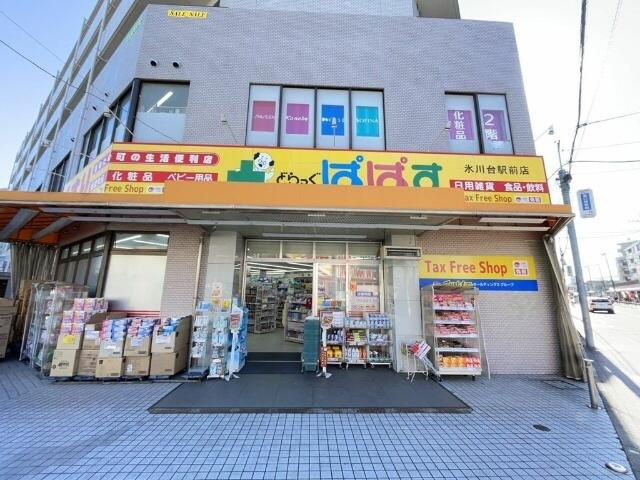 どらっぐぱぱす氷川台…まで550m