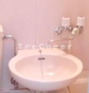 コンチネンタルハイツ富士見台の洗面所