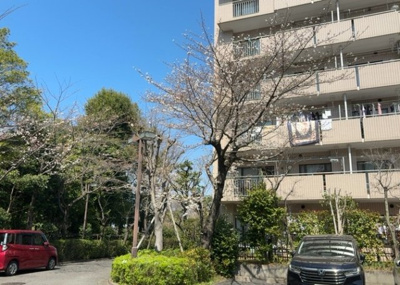 【庭】 | パークサイド松が谷１号棟 | 物件によっては、入居者が個人的に使用できる専用庭がついているものもあります。また、住宅の中にある土間の部分を庭と呼ぶこともあります。庭の用途は住む人によって変わり、それによってデザインもさまざまです。
