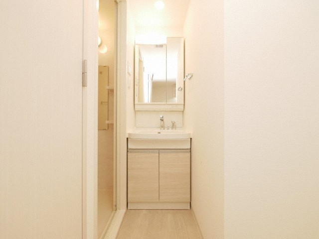 アドバンス上町台シュタットの洗面所