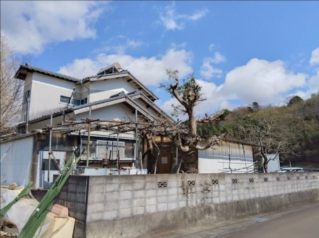 売土地　三島市沢地の周辺|自然豊かなロケーションに佇む売土地です。四季の移ろいを感じながら、のびのびとした暮らしが叶う環境です。家庭菜園やガーデニングなど、土地の広さを活かした生活も楽しめます。