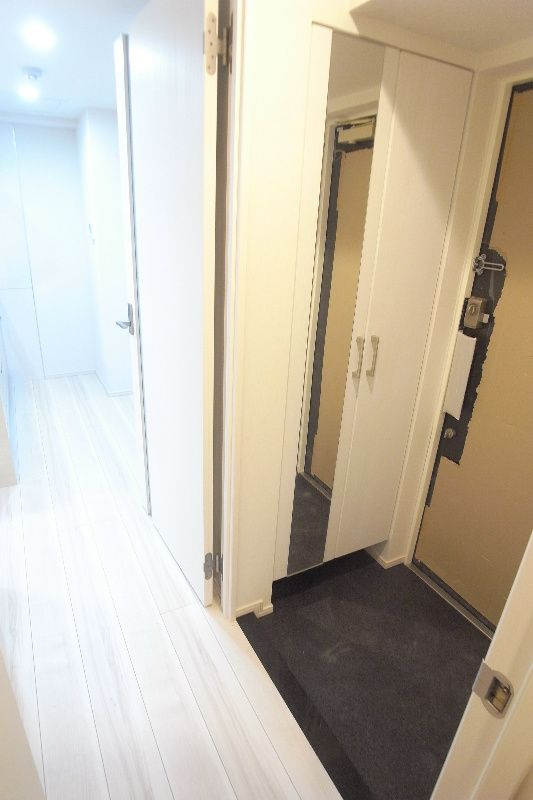 アビタシオン菊川の玄関