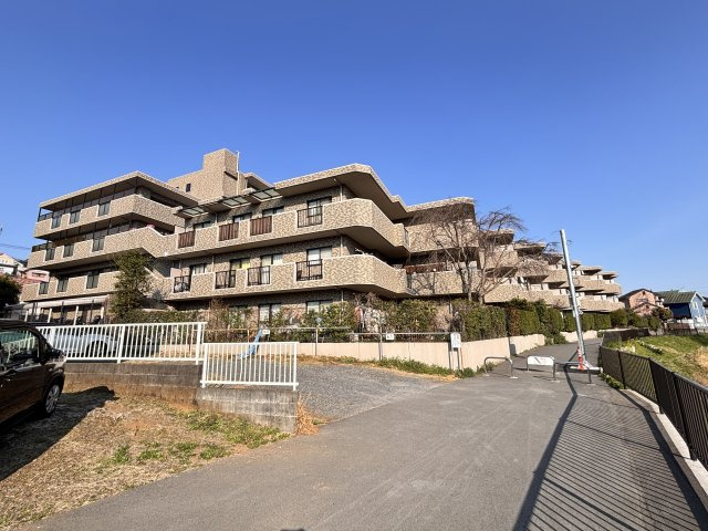 敷地南側からの外観