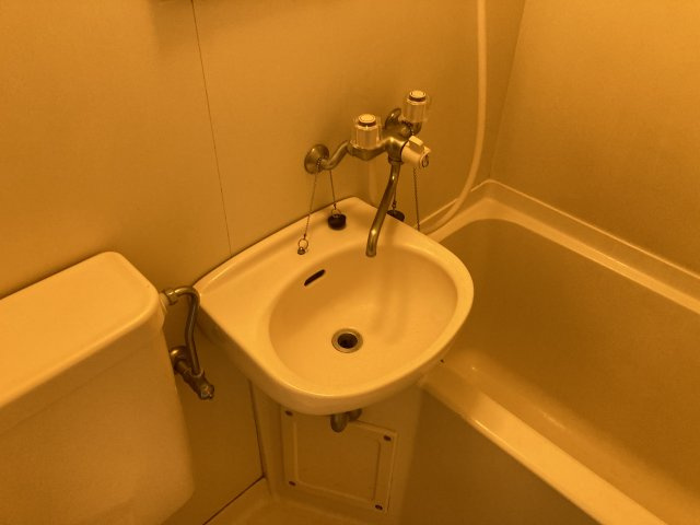 ユーコート市川南の洗面所