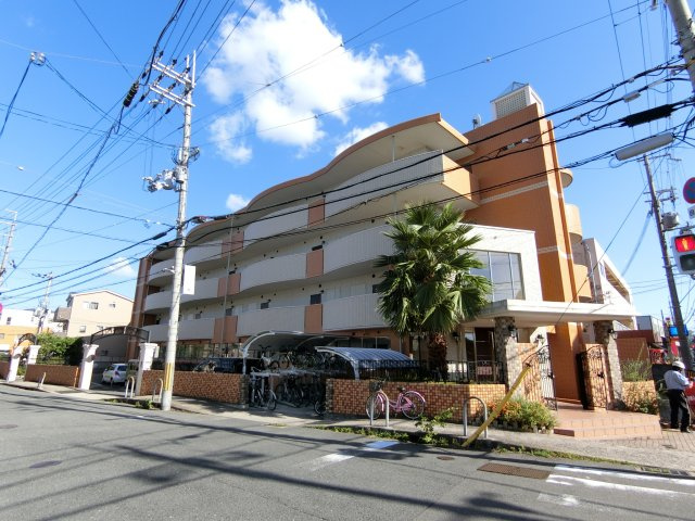 デルスールラローザの周辺