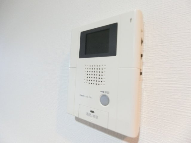 デルスールラローザのセキュリティ