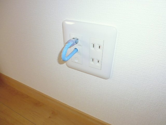 ハレレアのその他