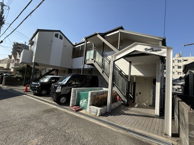 コートアケイシア