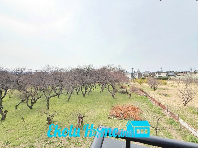 昭島大神町の展望|2026年03月　撮影