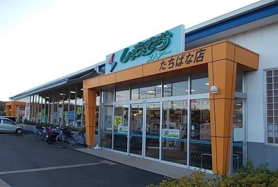 【周辺】 | ベルグレイス | しまむらストアーたちばな店まで1500m