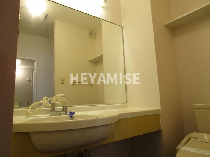 インター池田Ⅱの洗面所