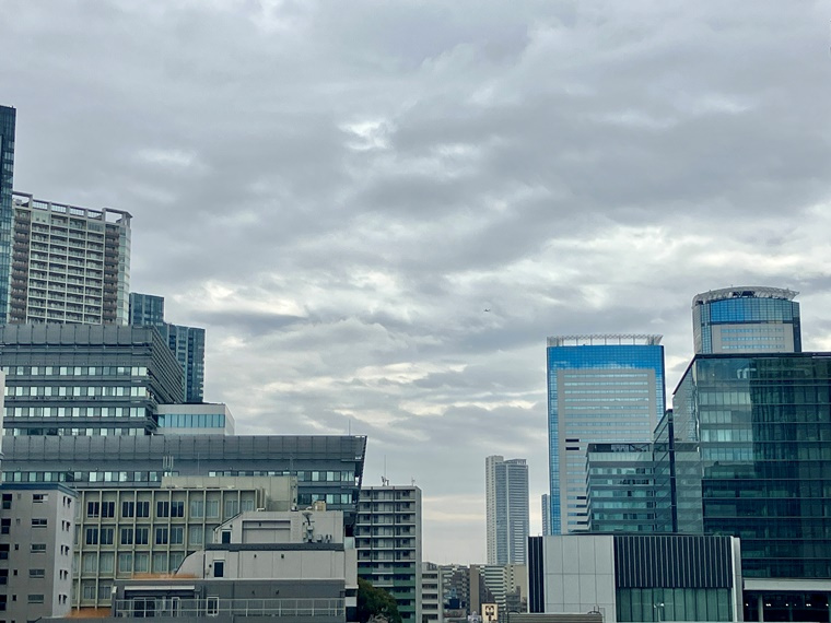 シティコープ豊洲の展望