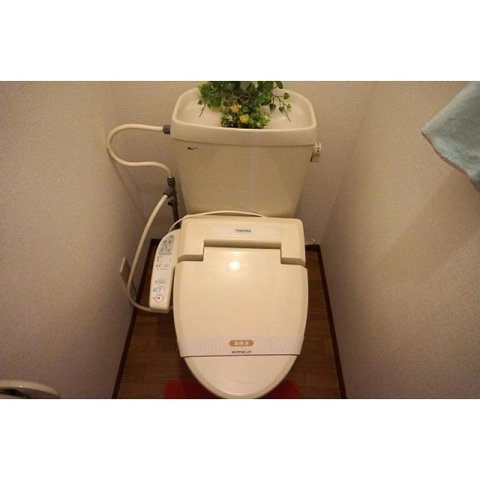 アヴェニール幸B棟のトイレ