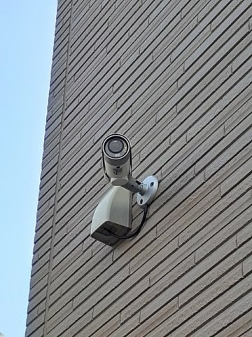 マロードＡのその他